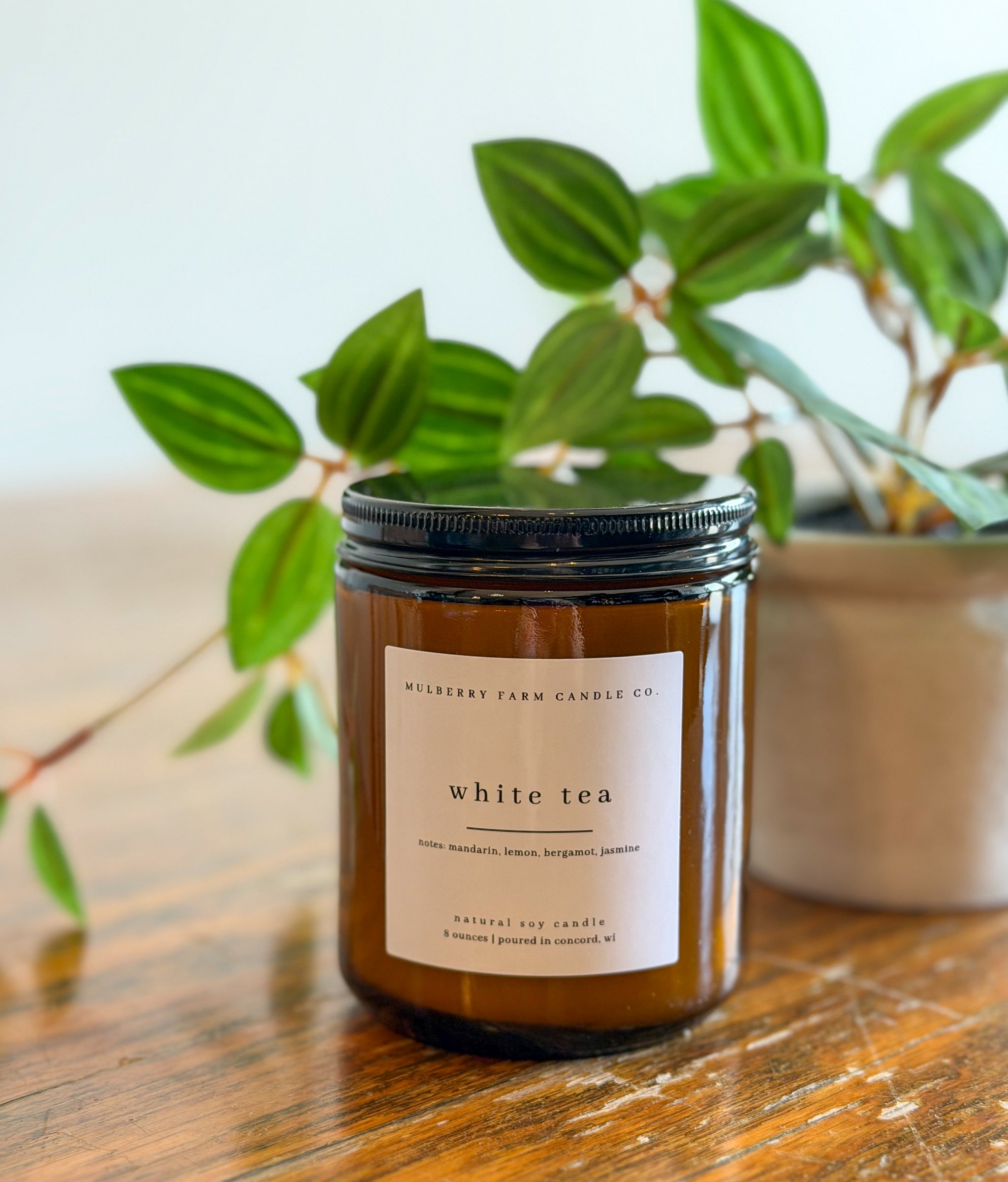White Tea – Mulberry Farm Candle Co.